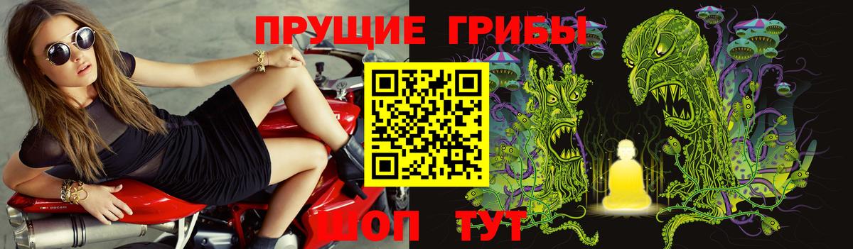Псилоцибиновые грибы GOLDEN TEACHER  Псилоцибиновые грибы мицелий  Киселёвск  Вход с VPN 